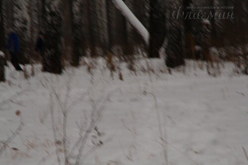 Прогулка с элементами ОФП